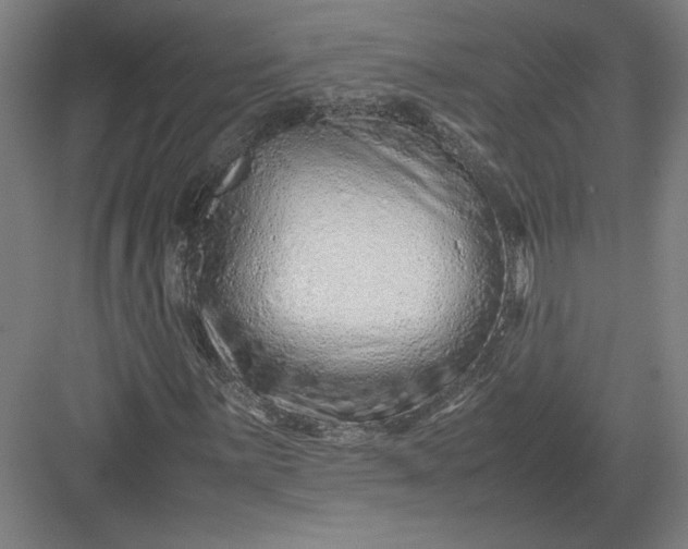 X0000082951059200702152234