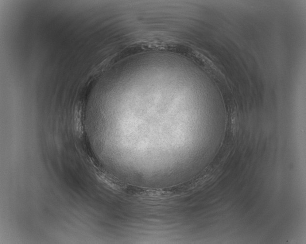 X0000082951060200702152234