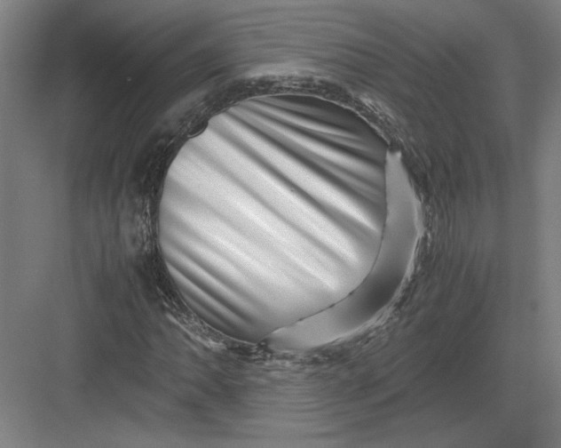 X0000082951062200702152234