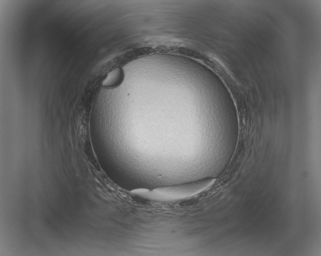 X0000082951063200702152234