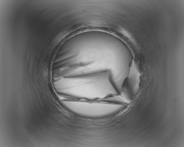 X0000082951065200702152234