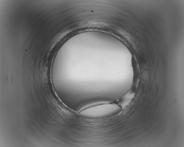 X0000082951066200702152234
