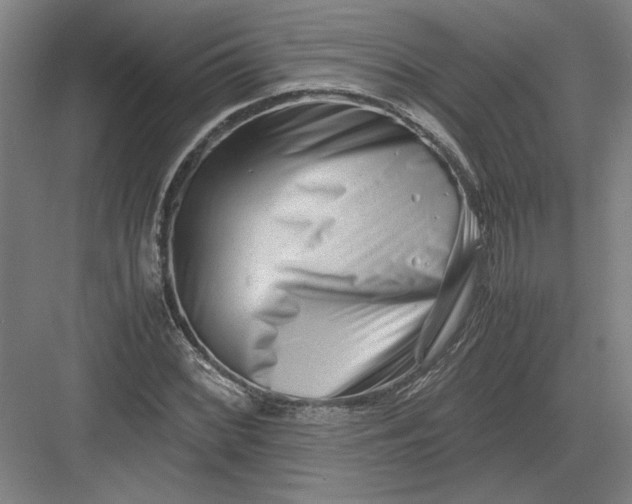 X0000082951068200702152234