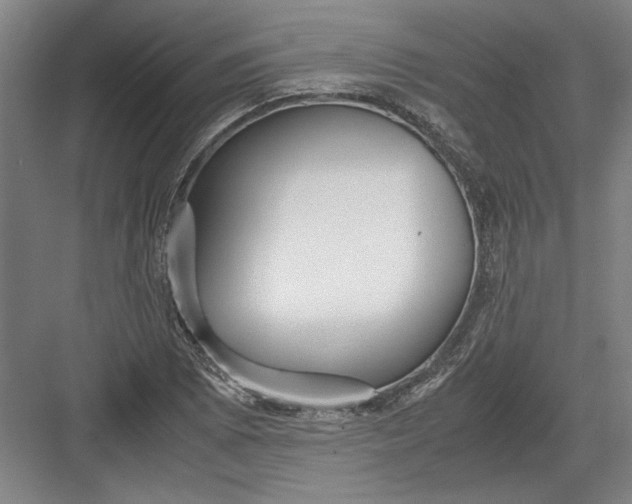 X0000082951073200702152234