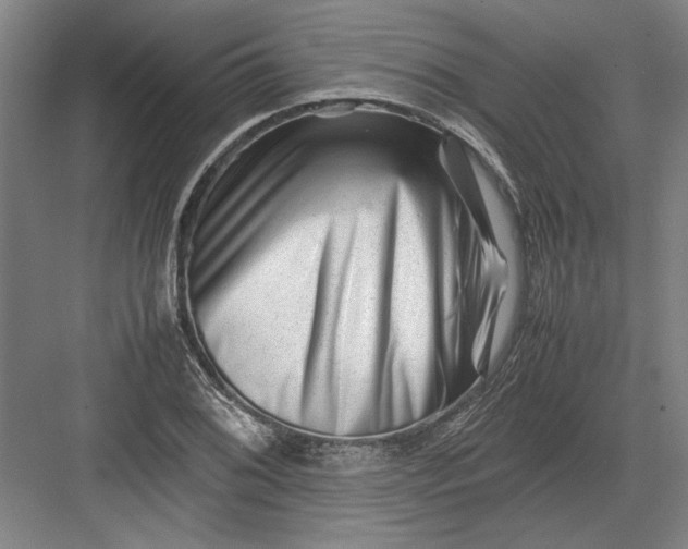 X0000082951076200702152234