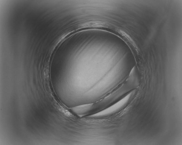 X0000082951081200702152234