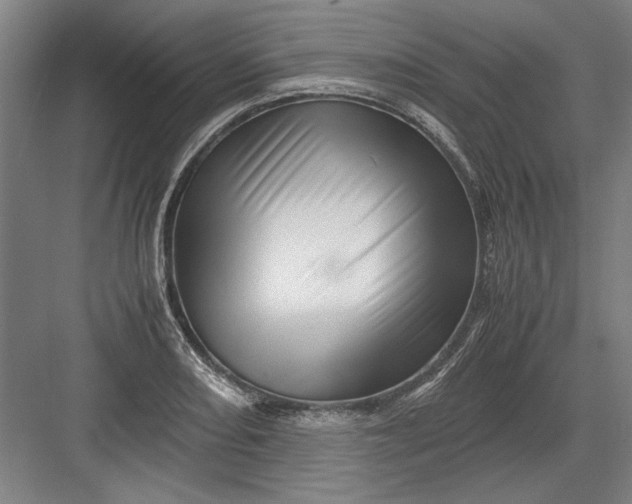 X0000082951082200702152234