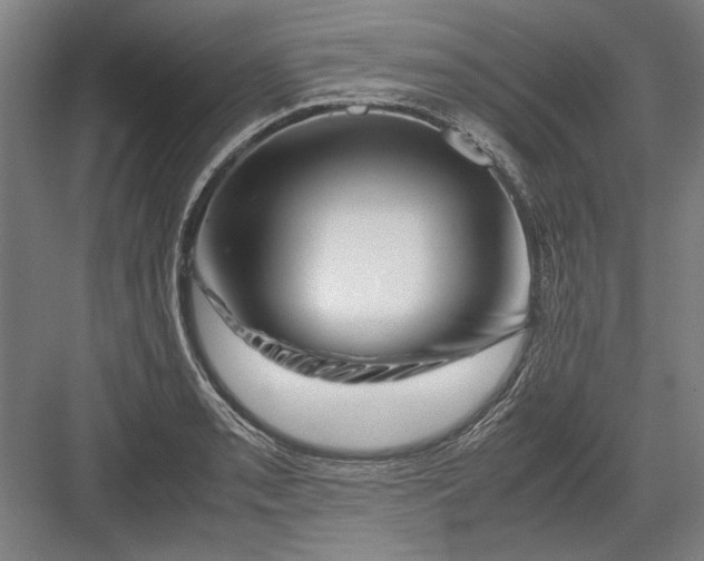 X0000082951085200702152234