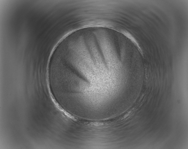 X0000082951088200702152234