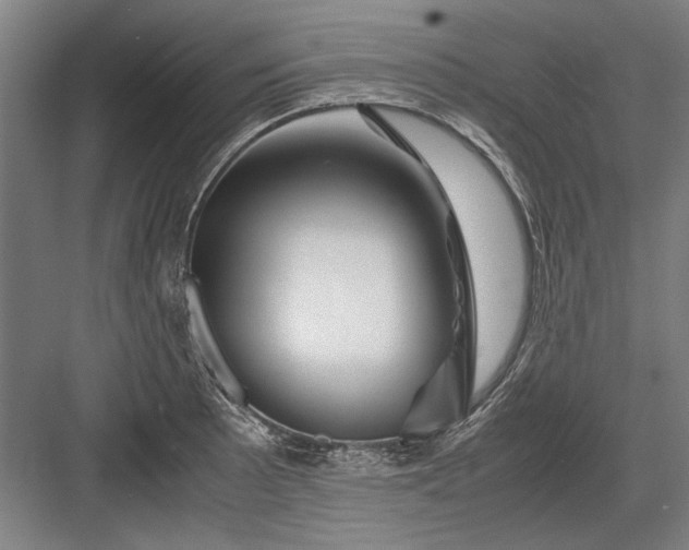 X0000082951089200702152234