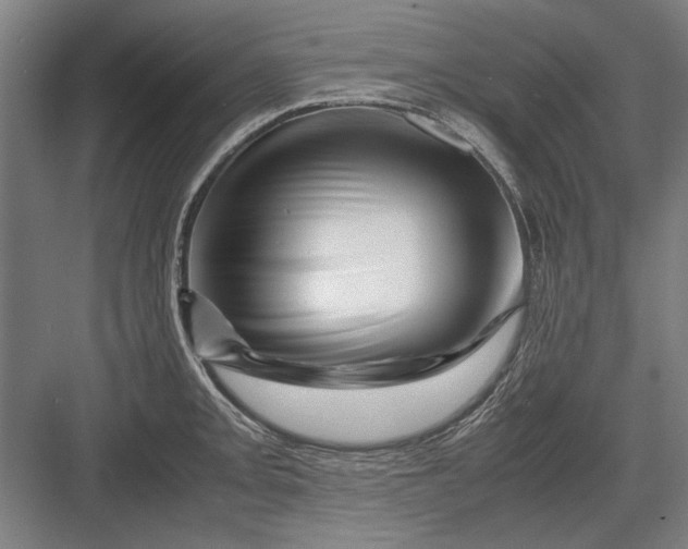 X0000082951093200702152233