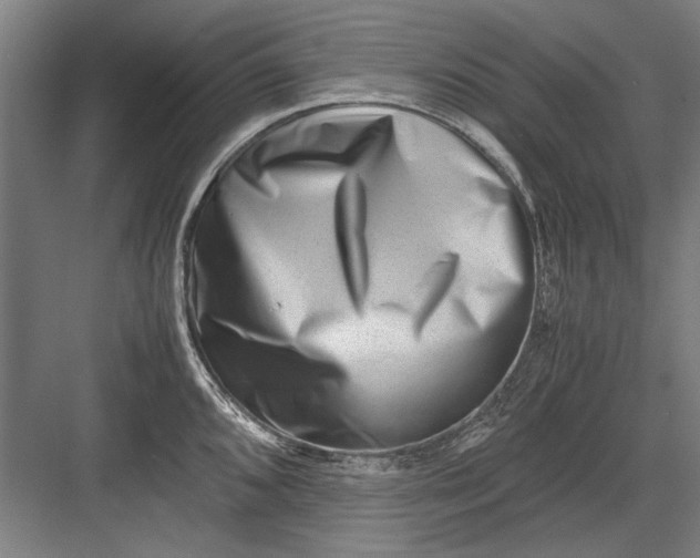 X0000082951096200702152233