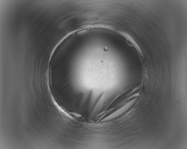 X0000082951100200702152233