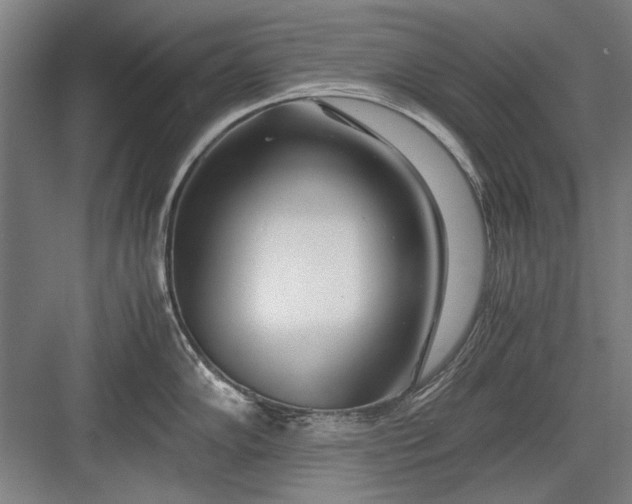 X0000082951102200702152233