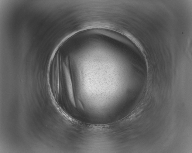 X0000082951104200702152233