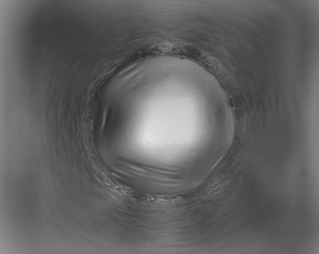 X0000082951105200702152232