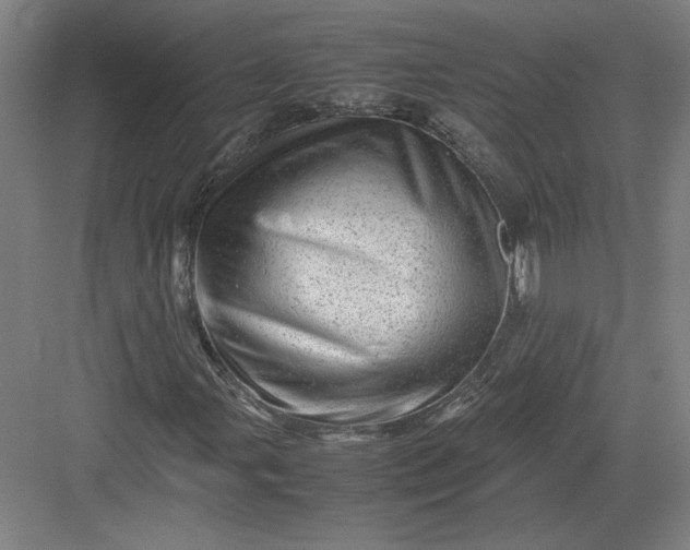 X0000082951107200702152233