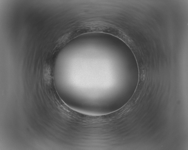 X0000082951108200702152233