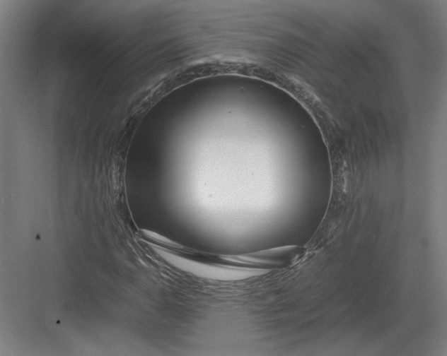 X0000082951110200702152233
