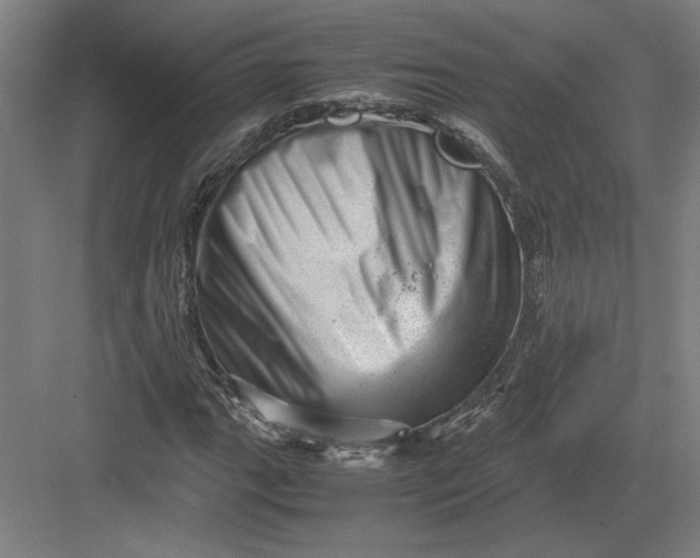X0000082951111200702152233
