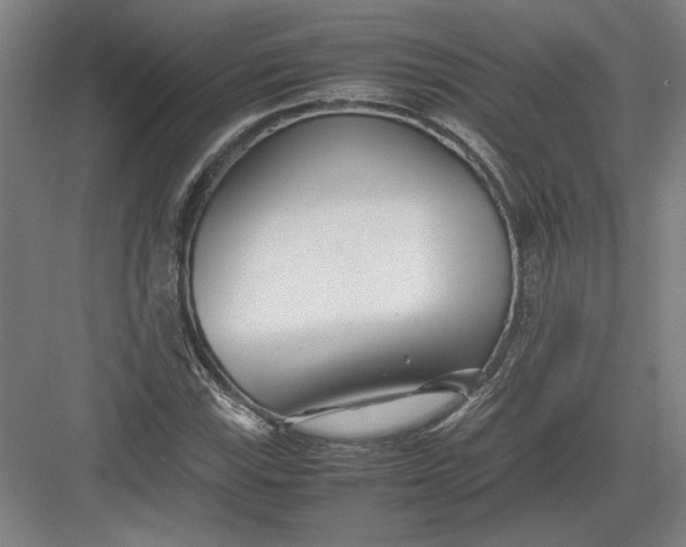 X0000082951115200702152233