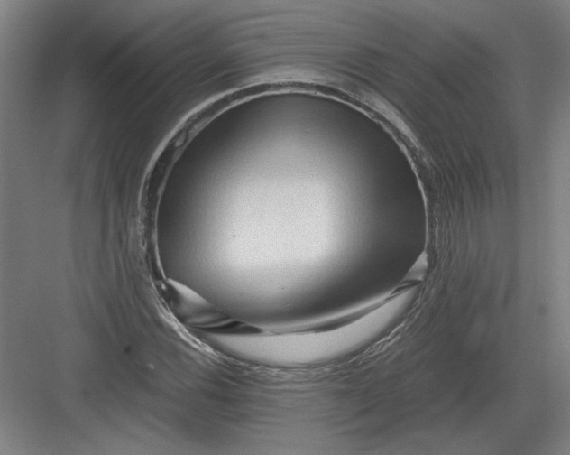 X0000082951116200702152233