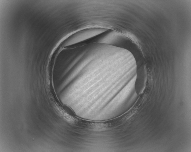 X0000082951120200702152233