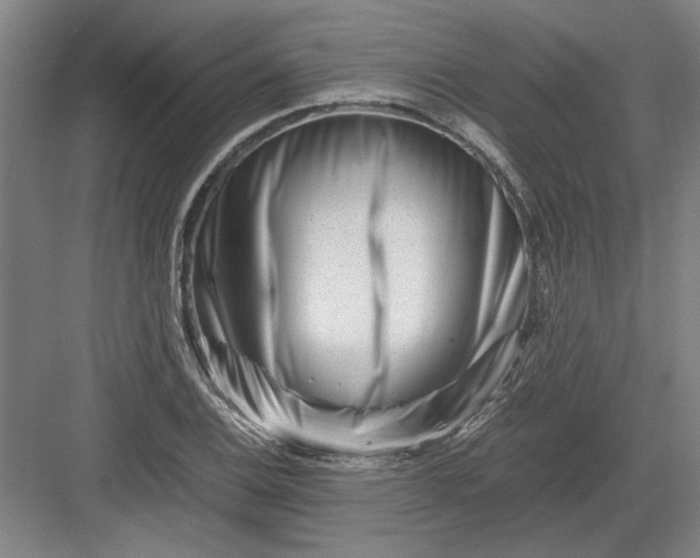 X0000082951124200702152233