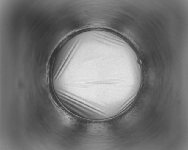 X0000082951126200702152233