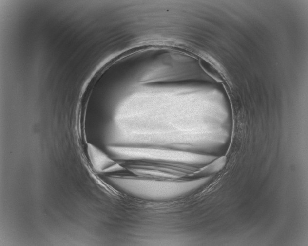 X0000082951128200702152233