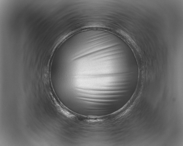 X0000082951129200702152233