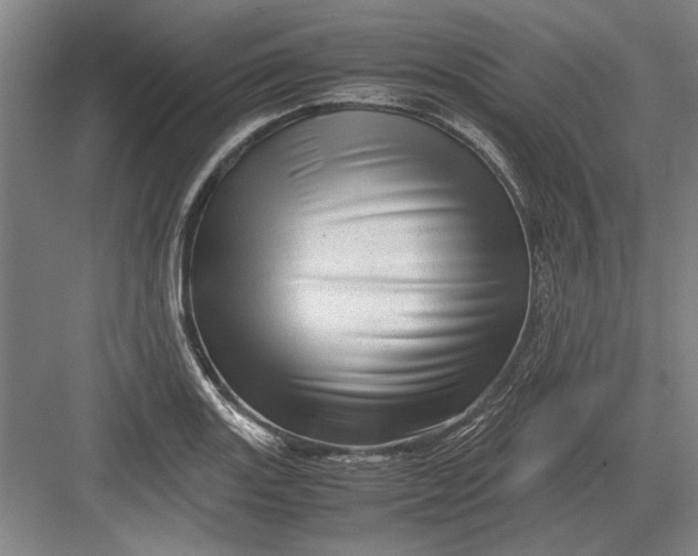X0000082951131200702152233