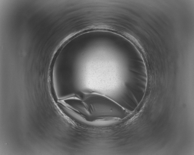 X0000082951133200702152233