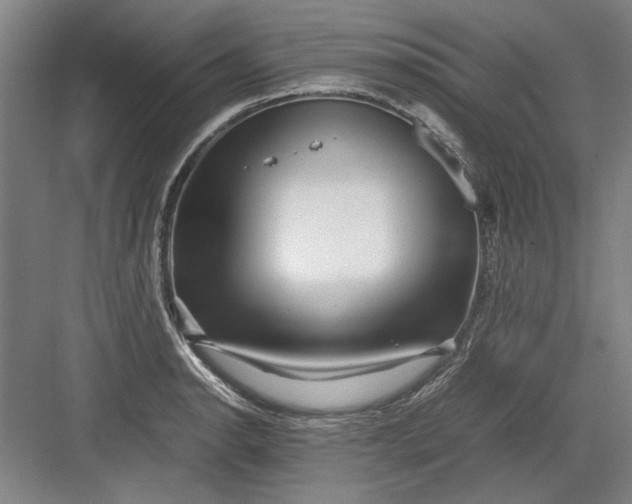 X0000082951134200702152233