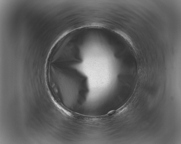 X0000082951135200702152233