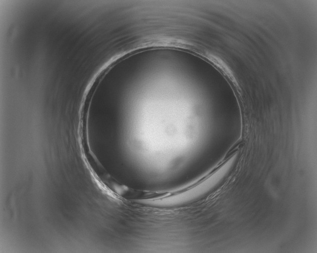 X0000082951136200702152233