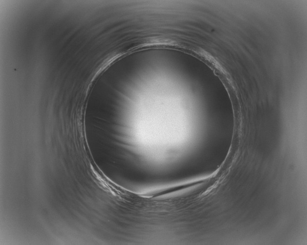 X0000082951137200702152233