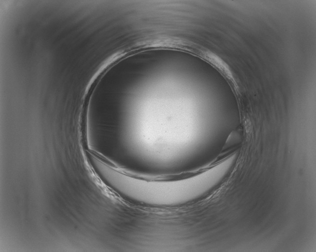 X0000082951138200702152233