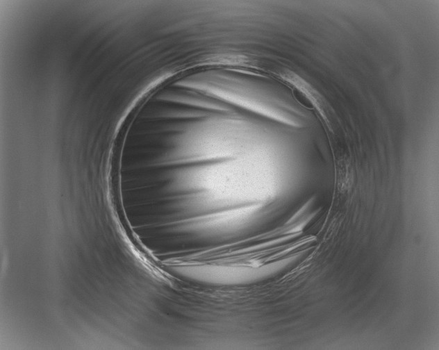 X0000082951139200702152233