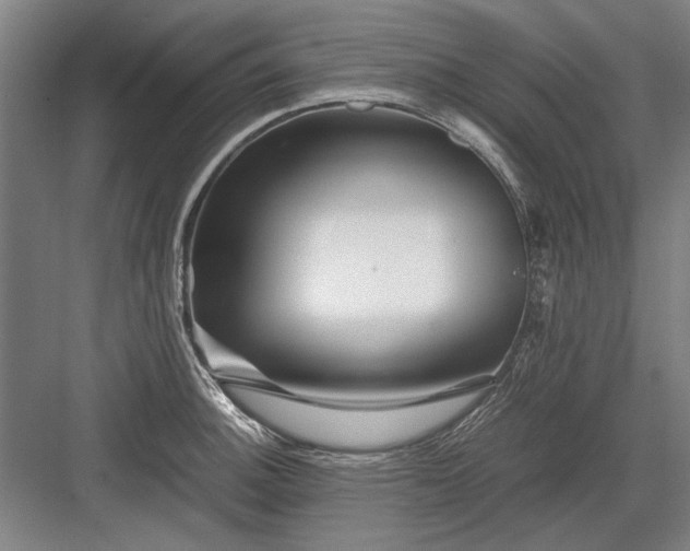 X0000082951140200702152233