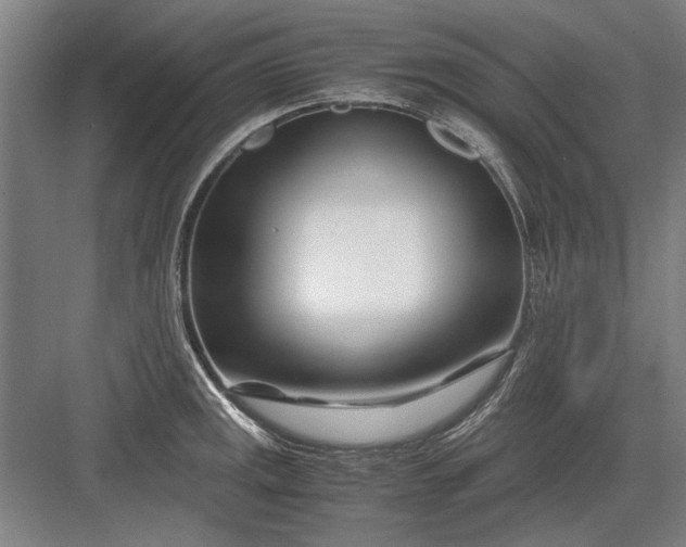 X0000082951141200702152233