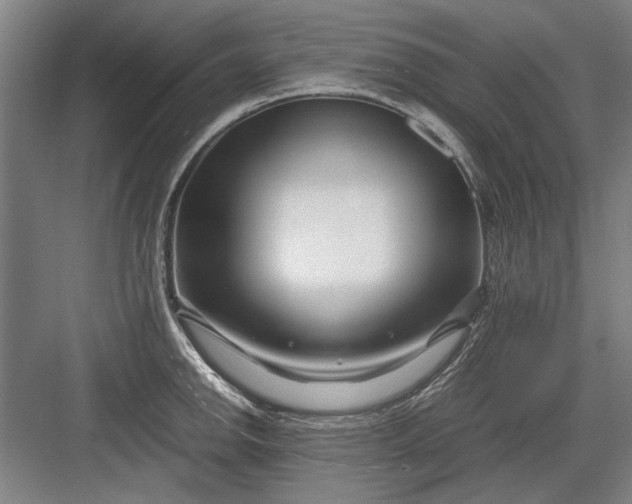 X0000082951142200702152233
