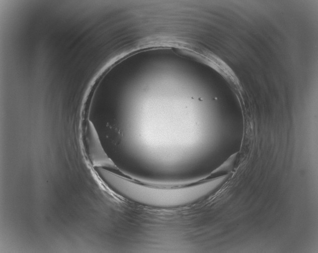 X0000082951144200702152233
