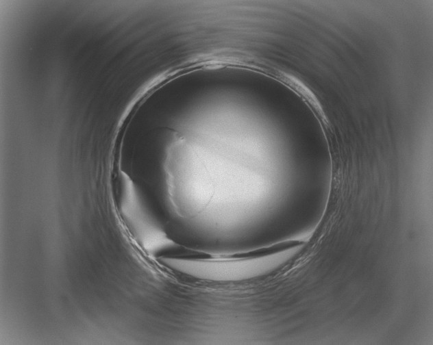 X0000082951146200702152233