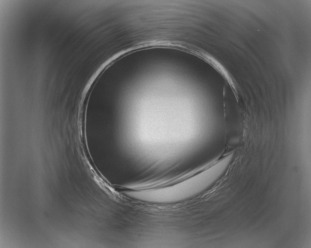 X0000082951148200702152233