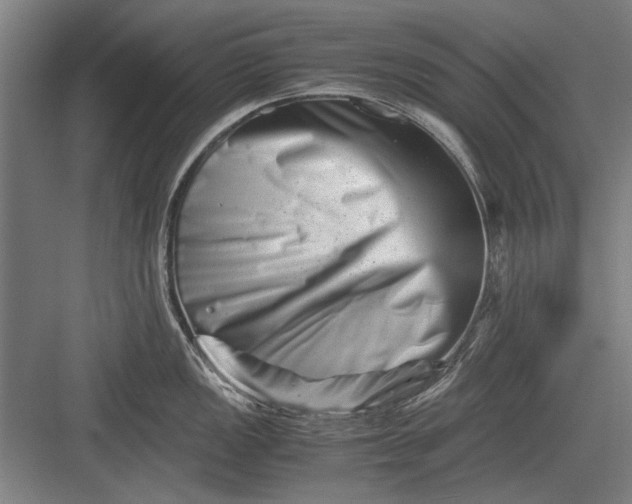 X0000082951149200702152233