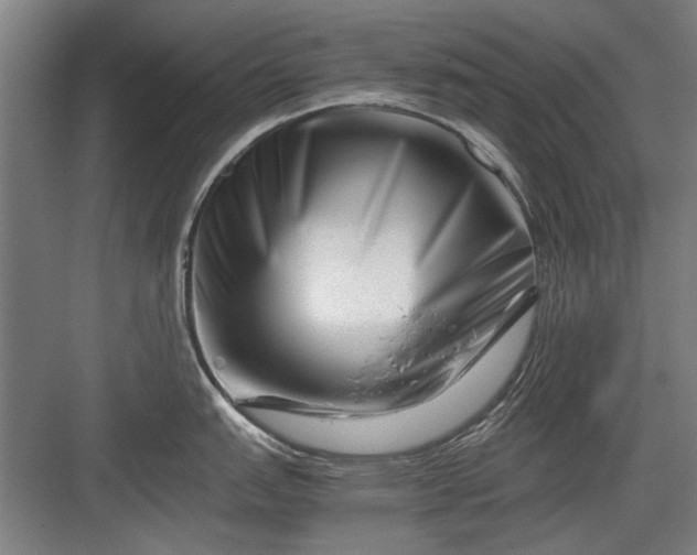 X0000082951151200702152233