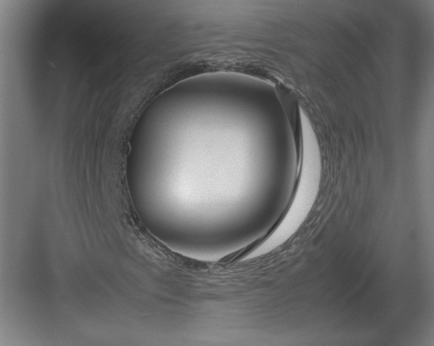 X0000082951153200702152232