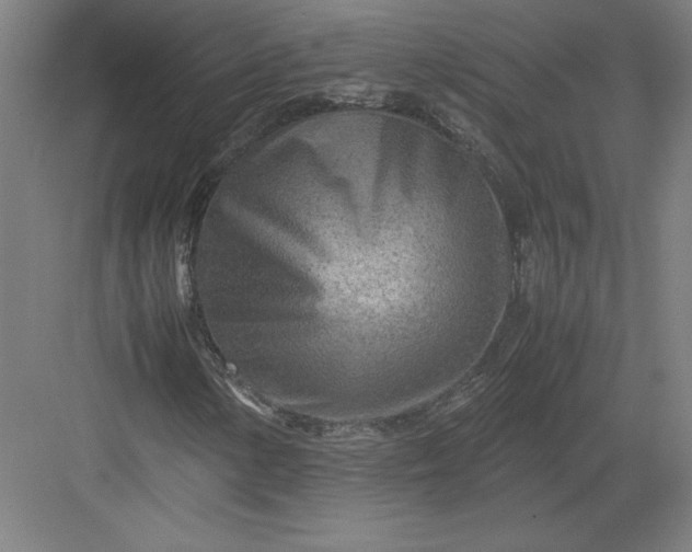 X0000082951154200702152232