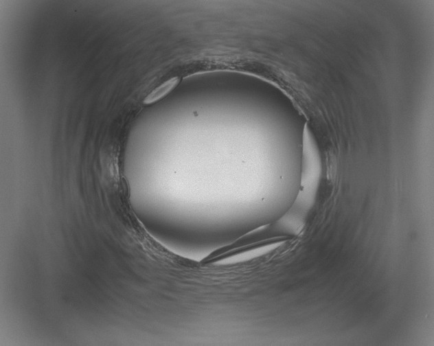 X0000082951155200702152232